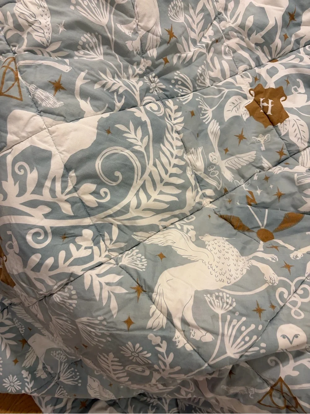 Pottery Barn Teen Harry Potter Magical Damask Twin Comforter